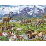 Игрушка Пазл Арктика FH-14