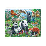 Игрушка Пазл Дикие животные Азии FH-43