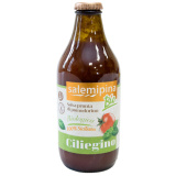 Соус томатный из сицилийских помидорч.Черри  БИО б/глютена 330г Salemi Pina