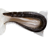 Угорь г/к в в/у кг 