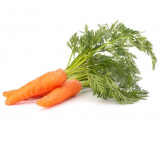 Морковь с ботвой шт Россия