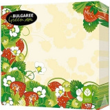 Салфетки Булгари Грин 3-сл 33*33см 20шт в ассортименте