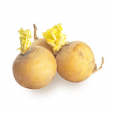 Репа кг Россия 