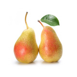 Груша Санта Мария кг Россия 