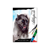 Папка д/акварели Черная пантера 62824