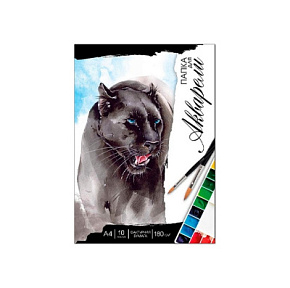 Папка д/акварели Черная пантера 62824