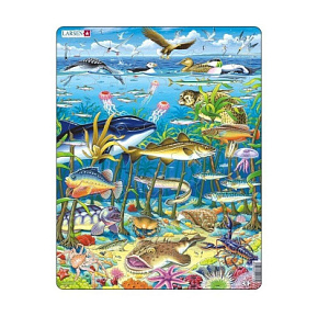 Игрушка Пазл Водоросли FH-13