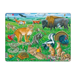 Игрушка Пазл Животные Северной Америки FH-40