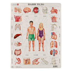 Игрушка Пазл Наше тело (Русский) OB1 