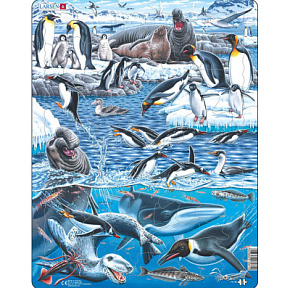Игрушка Пазл Животный мир Антарктики FH-48