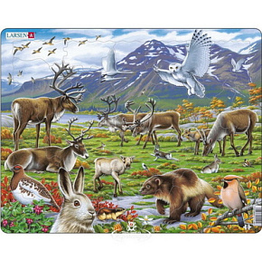 Игрушка Пазл Арктика FH-14