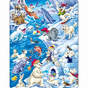 Игрушка Пазл Арктика US28