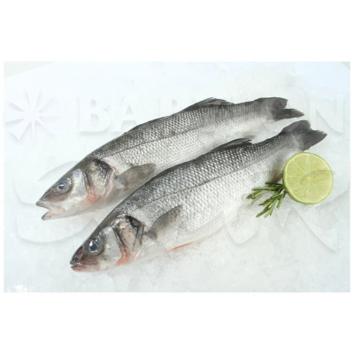 Сибас охлажденный СП КУЛИНАРИЯ