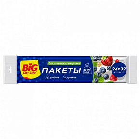 Пакет д/хранения Big City 100 шт